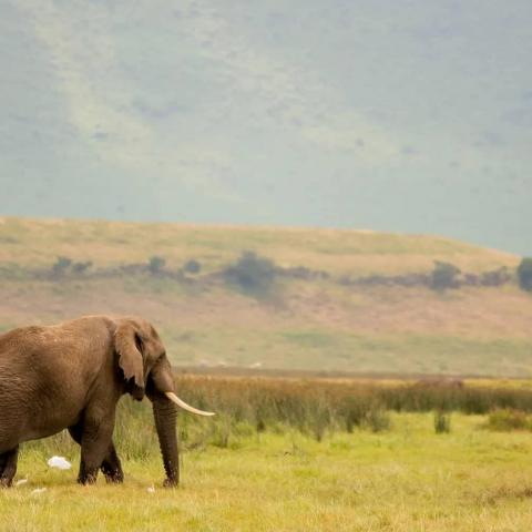 Kishapui Africa Adventures