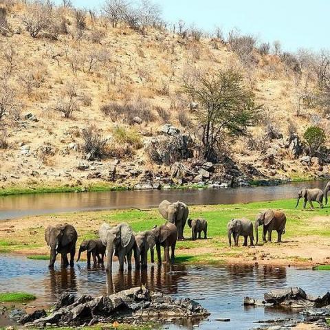 Serengeti Safari and Zanzibar shores