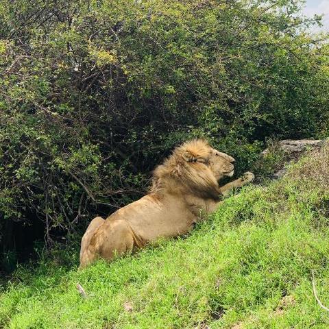 5 Days Tanzania Family Adventure