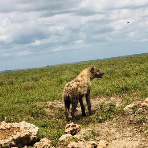 5 Days Tanzania Family Adventure