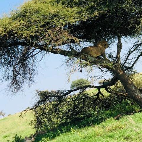 15 Days From Wilderness to Paradise Journey of a Lifetime