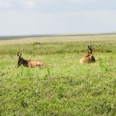 15 Days From Wilderness to Paradise Journey of a Lifetime
