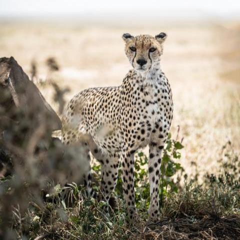 15 Days From Wilderness to Paradise Journey of a Lifetime